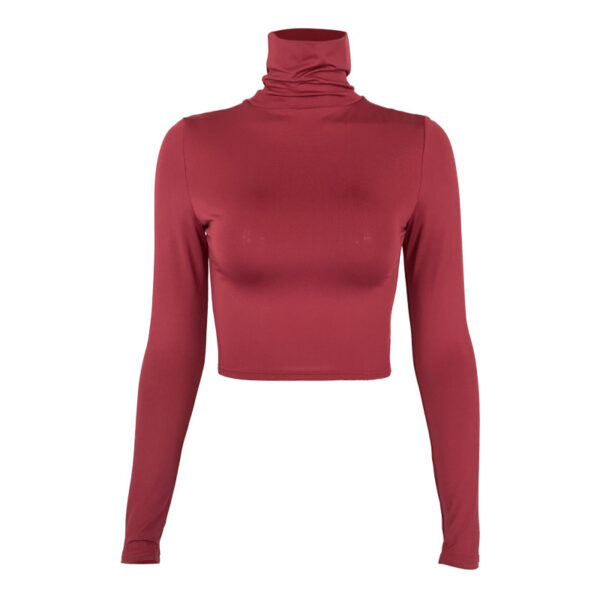 Women's slim fit crop exposed long sleeved high neck top